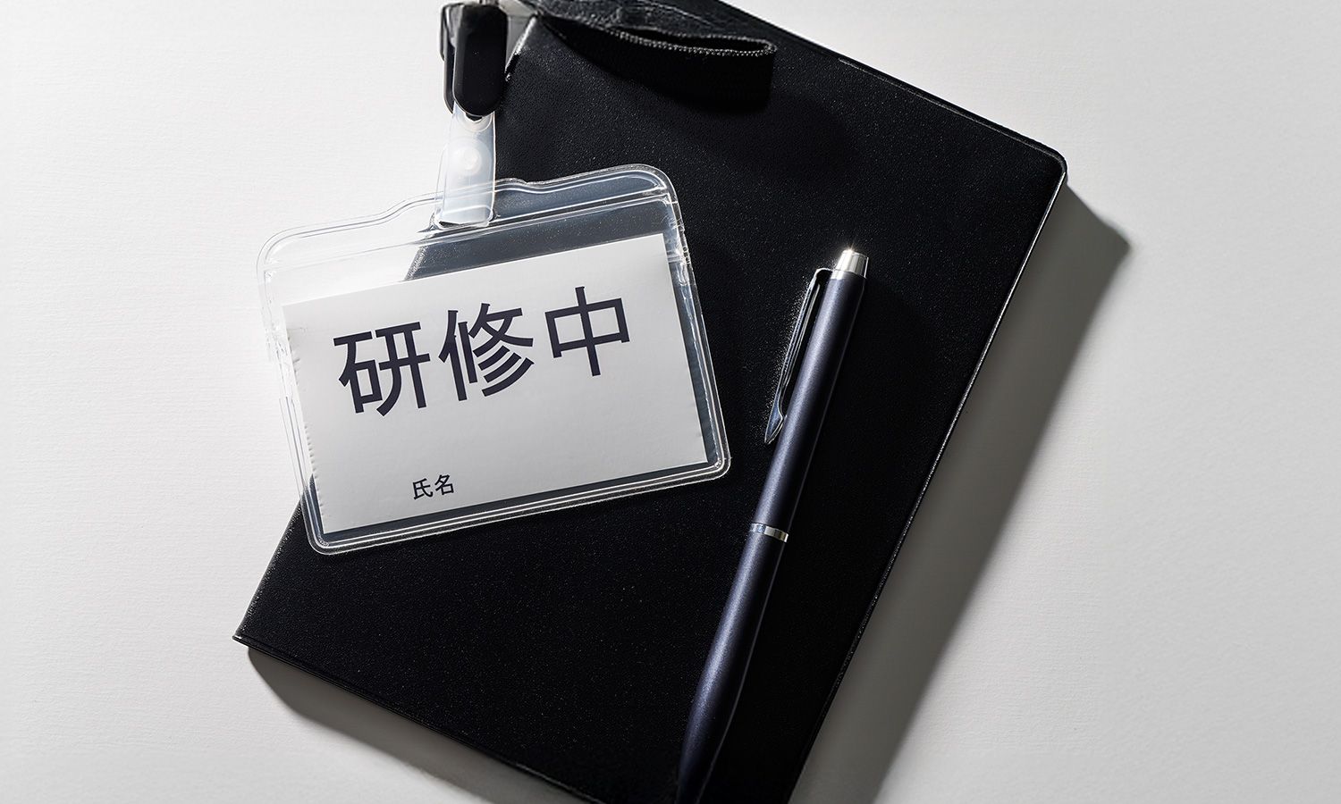 人事アセスメントハンドブック 人事アセスメントハンドブック | 大沢 武志 |本 | 通販 | Amazon