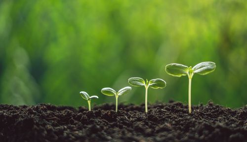 厳しい新人研修の功罪