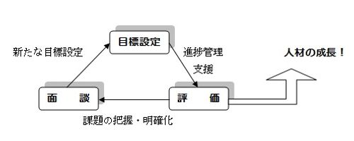 人事考課制度は育成制度