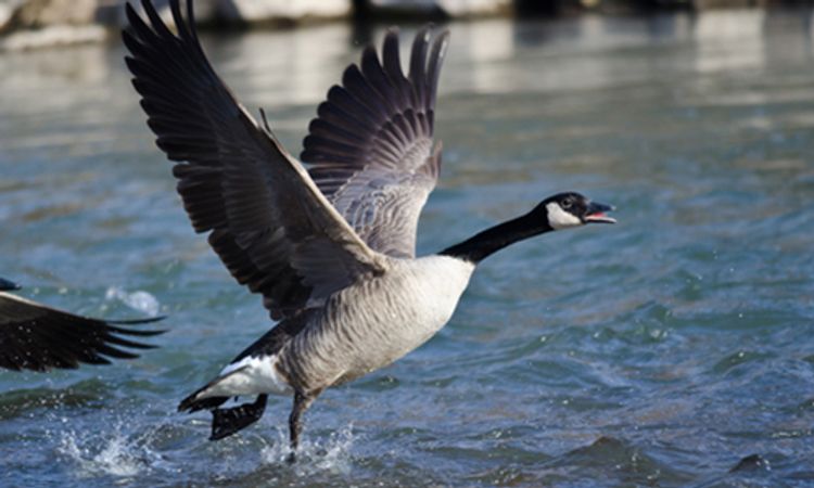 立つ鳥跡を濁す？ 退職時にトラブる従業員への対策は？