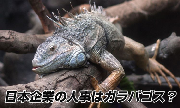 日本企業の人事はガラパゴス?