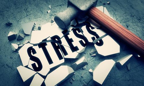 ストレスチェック制度スタート―そもそもストレスとは？