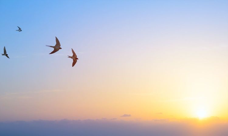 freeeが新たに事業承継領域へ参入。後継経営者＝“アトツギ”支援を強化し、中小企業の成長をDXで後押し