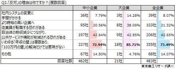 年収の壁解消に反対の理由