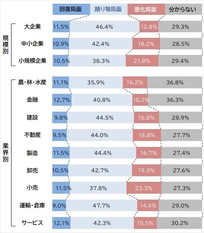 2026年の景気見通し（企業規模別／業種別）