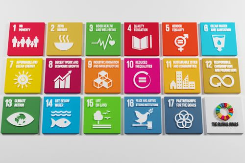 SDGsに積極的に取り組む企業は、約4社に1社（帝国データバンク調査）