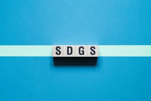 「SDGs方針」を策定し、マーケティングを通してよりよい社会づくりと課題解決を目指す。トライバルメディアハウス