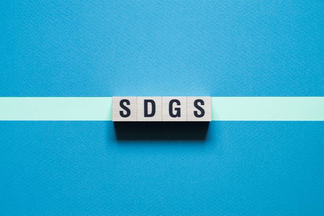 「SDGs方針」を策定し、マーケティングを通してよりよい社会づくりと課題解決を目指す。トライバルメディアハウス