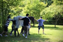 チームで馬に関わる体験もプログラムの大きな特徴です。