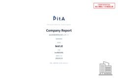 PitA 会社用レポート（サンプル）