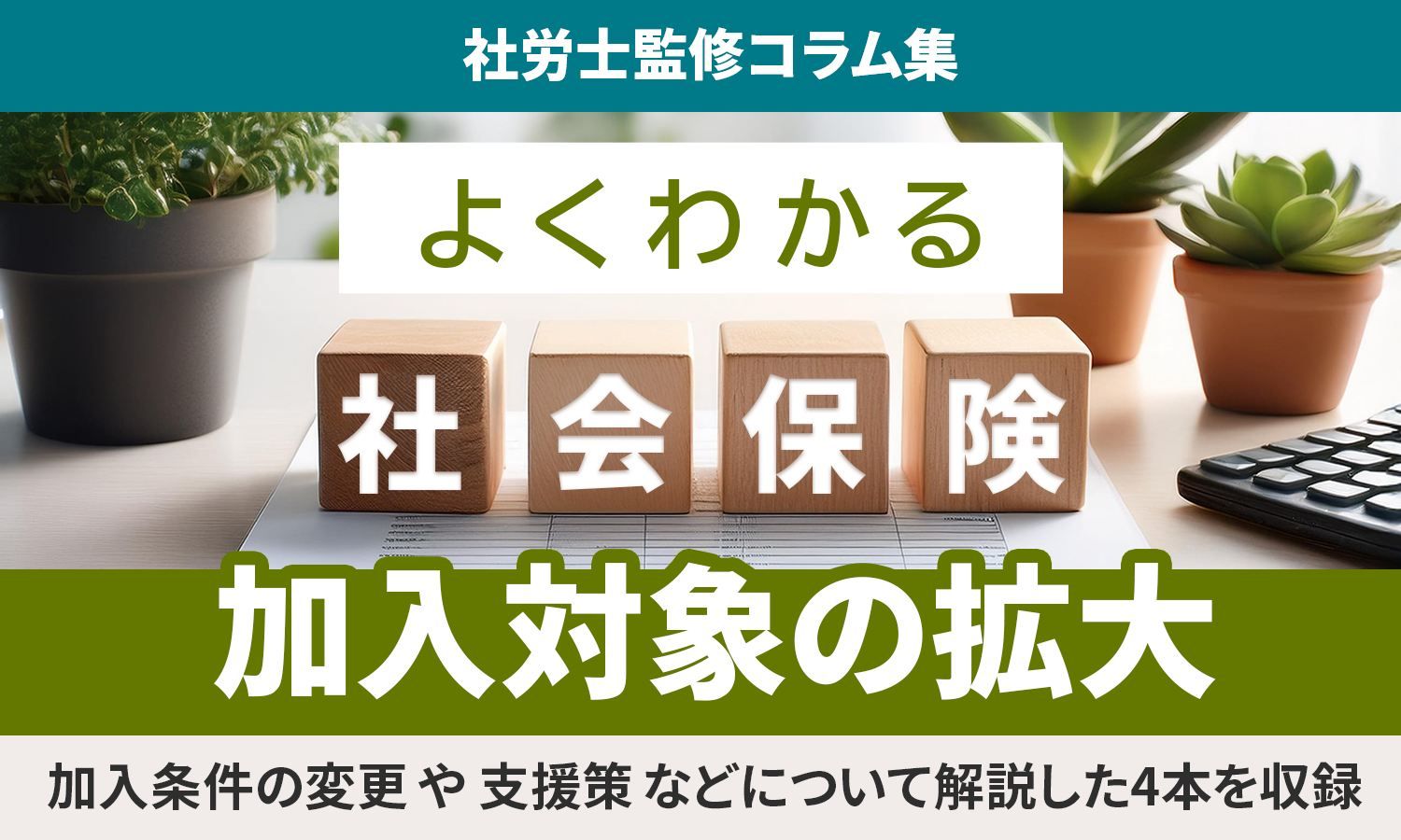 【図解】よくわかる「社会保険の加入対象」拡大、“変更される4項目”を徹底解説:社労士監修コラム集>