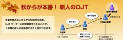 秋からが本番！新入社員OJTを再点検『OJTフォロー研修』
