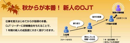 秋からが本番！新入社員OJTを再点検『OJTフォロー研修』
