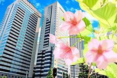 企業側に必要なインターンシップの受け入れ準備