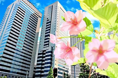 企業側に必要なインターンシップの受け入れ準備