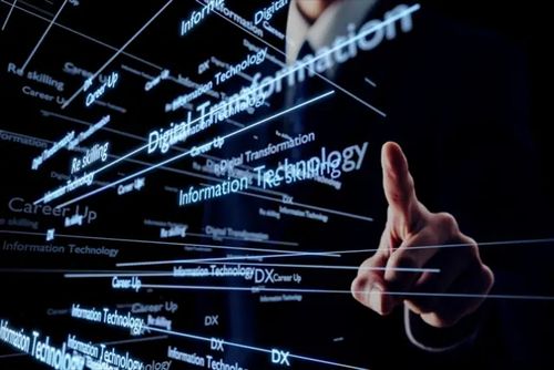 AI人材とは　仕事の種類や育成のポイントを解説