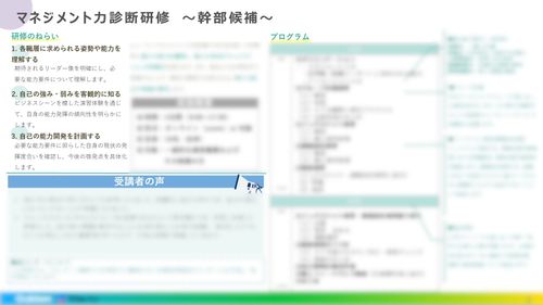 研修のねらい、実施概要、プログラム、受講者の声
