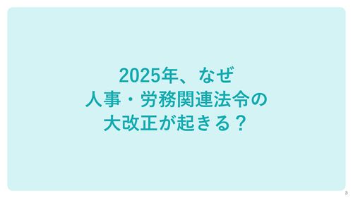 2025年にかけての人事・労務政策＆法令対応完全ガイド【30_0091】