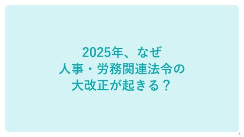 2025年にかけての人事・労務政策＆法令対応完全ガイド【30_0091】