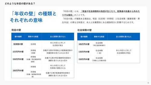 年収の壁まるわかりガイド【20_0087】