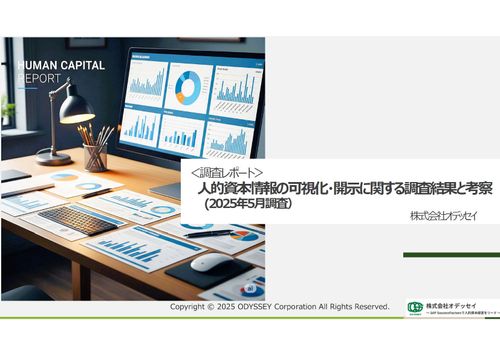 ＜調査レポート＞ 人的資本情報の可視化・開示に関する調査結果と考察 (2025年5月調査）