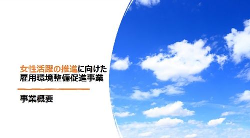 「女性活躍の推進に向けた雇用環境整備促進事業」事業概要