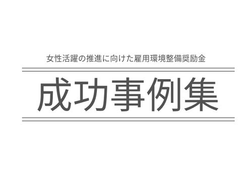 「女性活躍の推進に向けた雇用環境整備促進事業」成功事例集