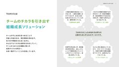 TEAMUSとは？