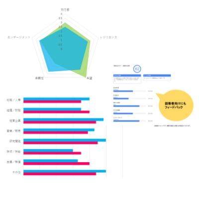 フィードバック予定のレポートはイメージです！