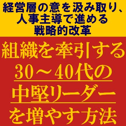 組織を牽引する30～40代の中堅リーダーを増やす方法～人事主導で進める戦略的改革～