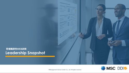 Leadership Snapshot（LS）