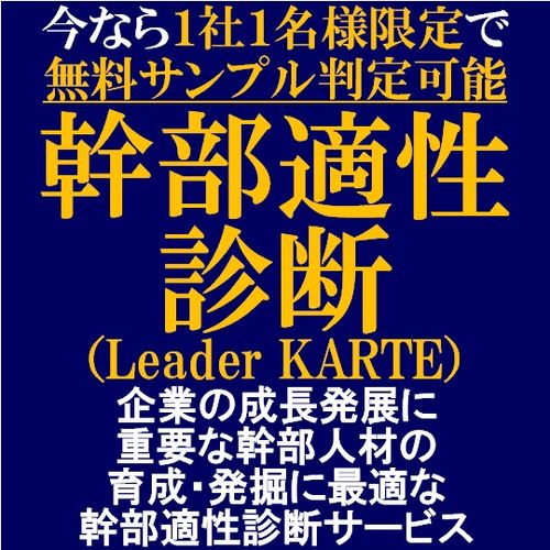 幹部・リーダー適性診断（幹部としての適性を総合判断）