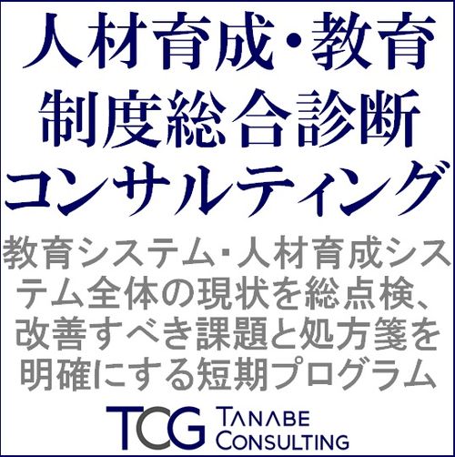 人材育成・教育制度総合診断コンサルティング