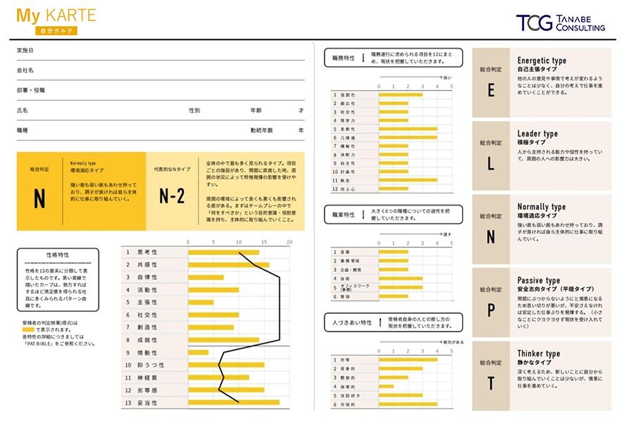 My KARTE　判定報告書の例