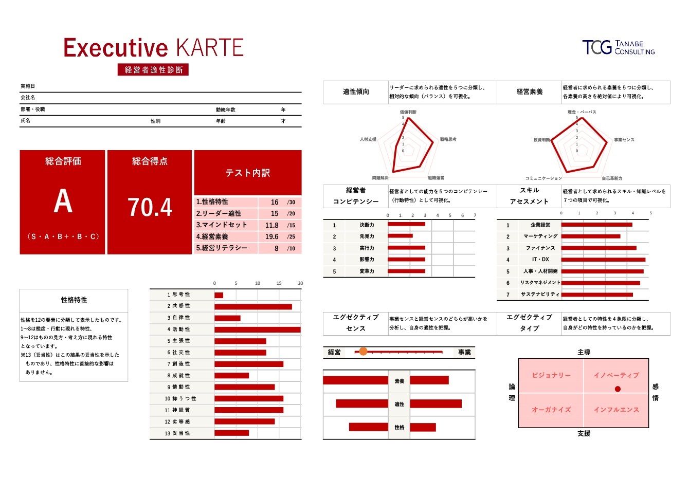 経営者適性診断(Executive KARTE)レポートの例