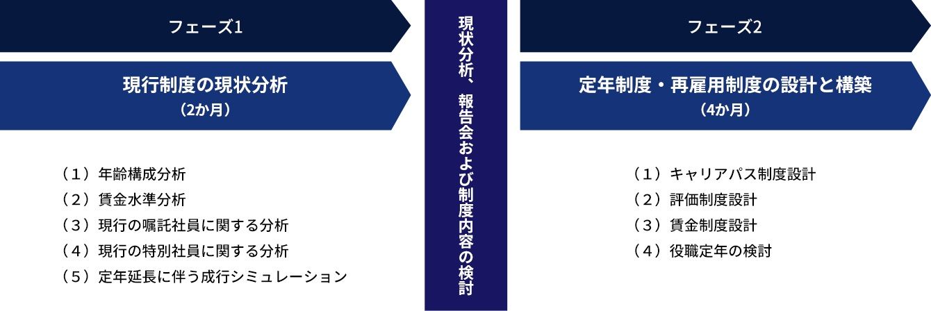 定年制度・再雇用制度コンサルティングの全体体系
