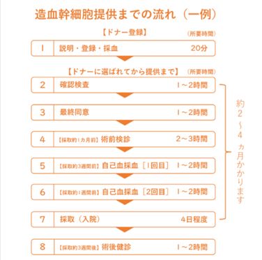 造血幹細胞提供までの流れ