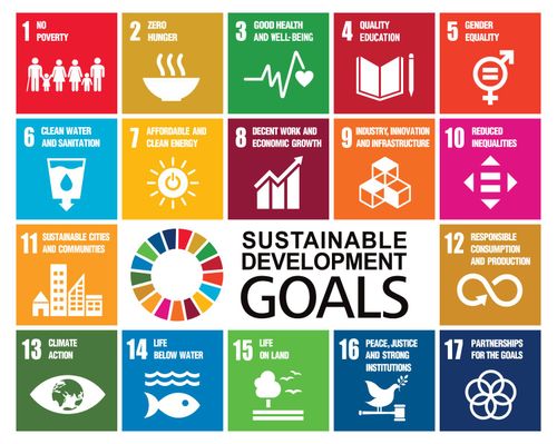 Goals for addressing poverty worldwide and realizing sustainable development. SDGs illustration vector