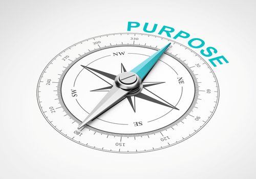 Compass on White Background, Purpose Concept