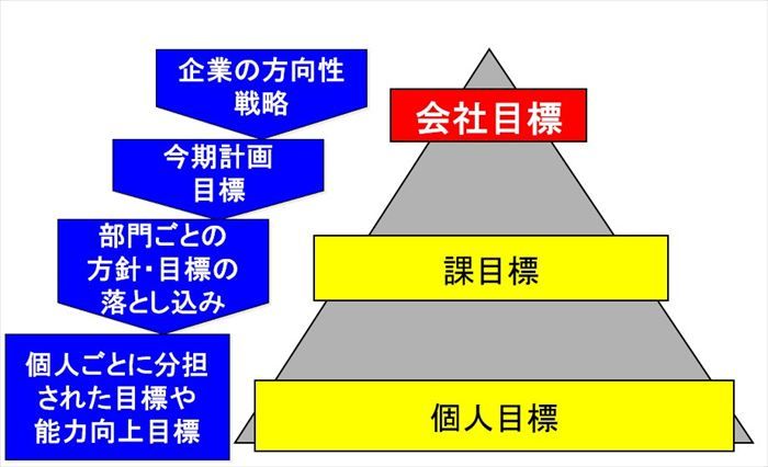 目標の落し込み