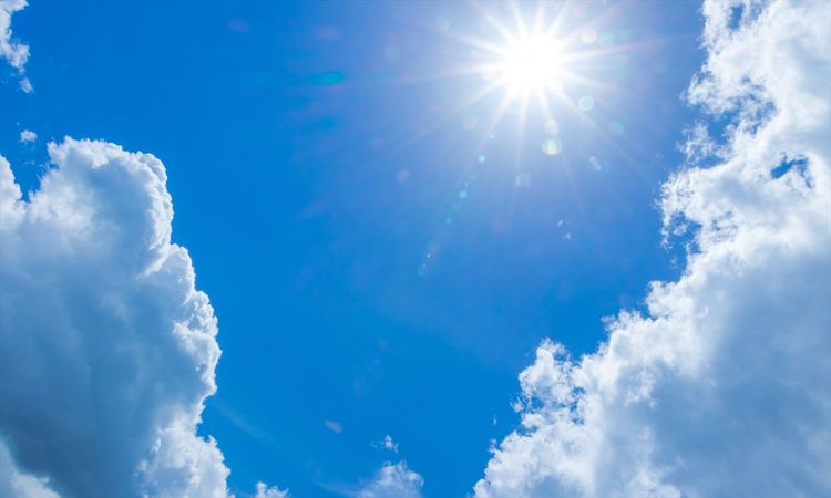 2025年6月1日開始「職場の熱中症対策」義務化には対応できた? 今年の経験を生かし、秋から計画的に来年の準備を