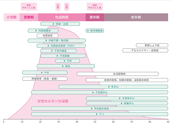 女性ホルモンとライフステージ